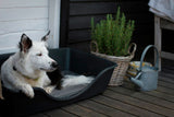 Wonderful Dog Bed with Foldable Basket Black