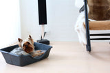 Wonderful Dog Bed with Foldable Basket Black