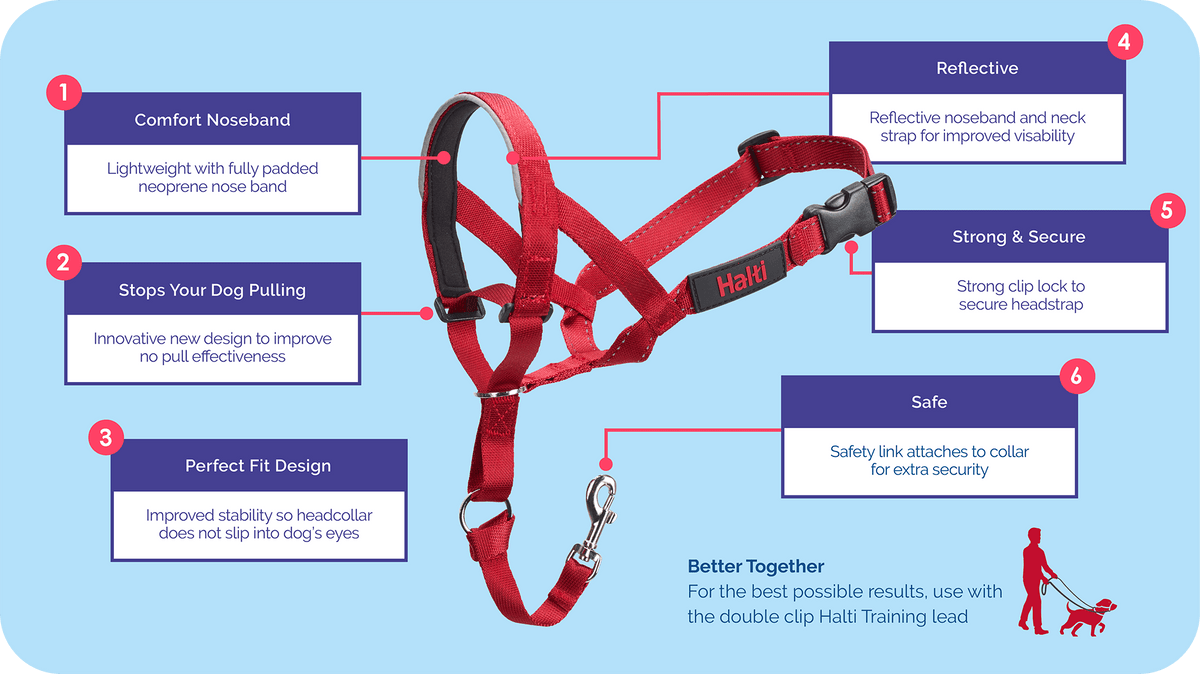 Petlife 2024 halti harness
