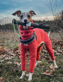 DOOG Stick Dog Fetch Toy--Woody