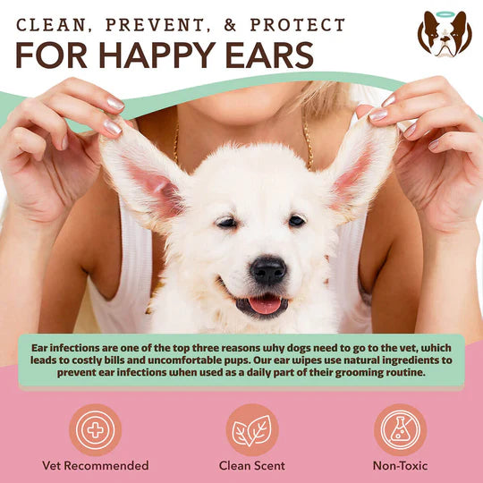 Stunning Natural Dog Food For Ear Issues image