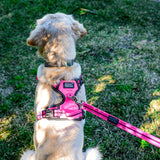 DOOG Neotech Heavy Duty Dog Harness-- Lady