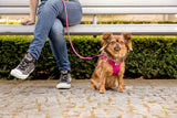 Curli Stretch Comfort Dog Leash