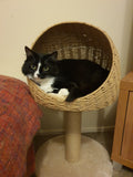 Paper Rope Basket Cat Bed and Scratcher