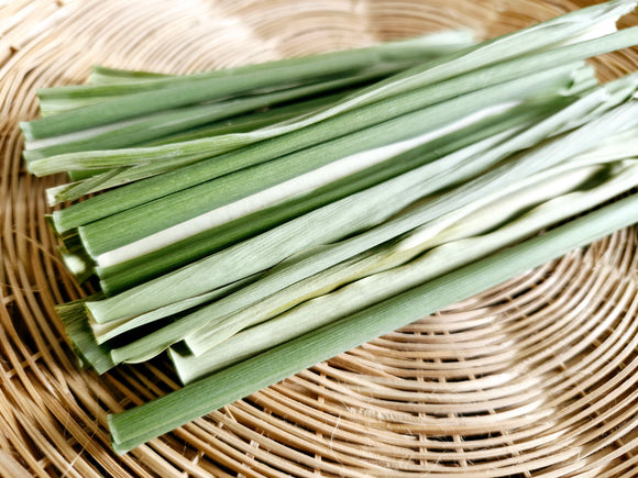 Binky n Wheeky Sugarcane Leaf for Rabbits and Guinea Pigs 20g