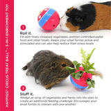 HAYPIGS Circus Treat Ball 3-in-1 Enrichment toy