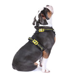 DOOG Neotech Heavy Duty Dog Harness-- Bolt