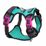 DOOG Neotech Heavy Duty Dog Harness-- Rin Tin Tin