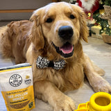 Lulu's Kitchen Bee Pollen Superfood For Dogs and Cats  80g