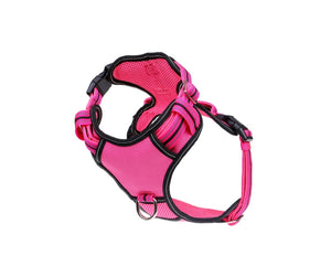 DOOG Neotech Heavy Duty Dog Harness-- Lady