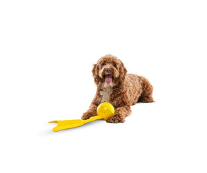 GURU Bonanza Ball Interactive Dog Toy