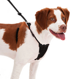 Sporn Non-Pull Mesh Dog Harness in Black