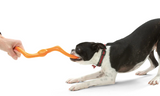 West Paw Bumi Tug & Fetch Zogoflex Dog Toy