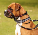 Halti Training Optifit Dog Headcollar