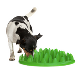 Northmate Green Interactive Slow Dog Feeder