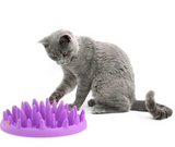 Northmate Catch Interactive Slow Feeder for Cats