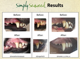 Simply Seaweed Dental Supplement for Dogs and Cats