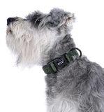 DOOG Neosport Neoprene Dog Collar - Olive Green