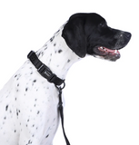 DOOG Neosport Neoprene Dog Collar - Black