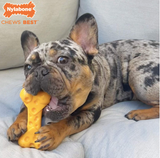 Nylabone Power Chewer Cheese Dog Toy