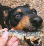 Lulu's Kitchen Catch Of The Day -- Small Oily Fish 100g