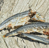 Lulu's Kitchen Catch Of The Day -- Small Oily Fish 100g