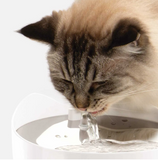 Catit Pixi Smart Drinking Fountain 2L