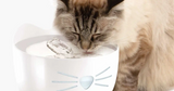 Catit Pixi Cat Stainless Steel Drinking Fountain 2L