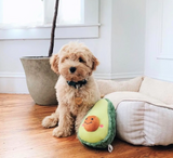 Zippy Paws NomNomz Avocado Dog Plush Toy