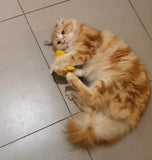 Yeowww Banana Cat Toy with Catnip