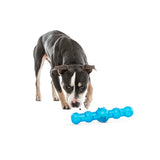 GURU Shaker Stick Dog Toy