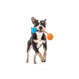 GURU Squeaking Rope Interactive Dog Toy