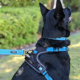 Huskimo Ultimate Dog Harness