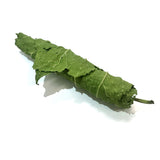 Little Cheek Farm Fresh Mulberry Leaf Roll 5pcs