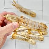 Lulu's Kitchen Prawn Chips-- Aussie Shrimp (Mantis) 50g 