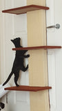 Door cat climber