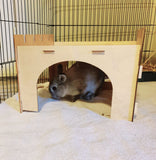Wooden Carrots House and Hidey for Rabbits and Guinea Pigs