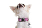 DOOG Neoprene Dog Collar - Toto