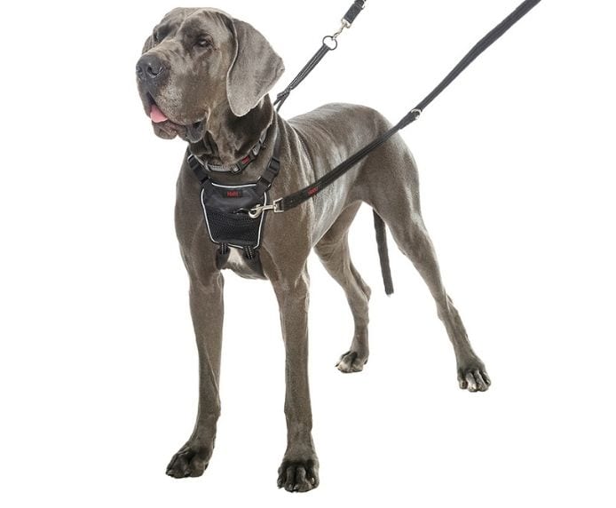Halti Training No Pull Harness