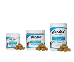 Glandex Anal Gland Soft Chew Treats with Pumpkin for Dogs 60ct