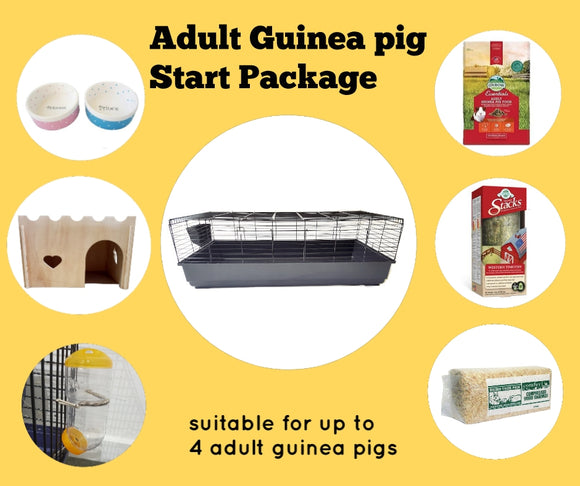 Adult guinea pig package (for guinea pigs over 6-months-old)