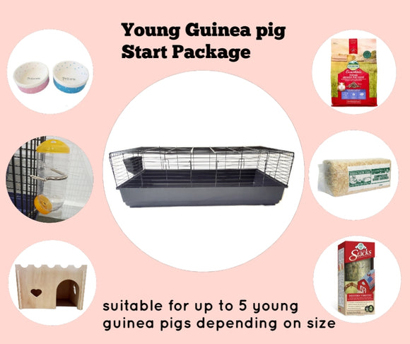 Young Guinea pig Start Package (for guinea pig under 6-months-old)