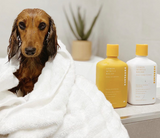 Troopets Lemon Myrtle Relief Dog Shampoo 340ml